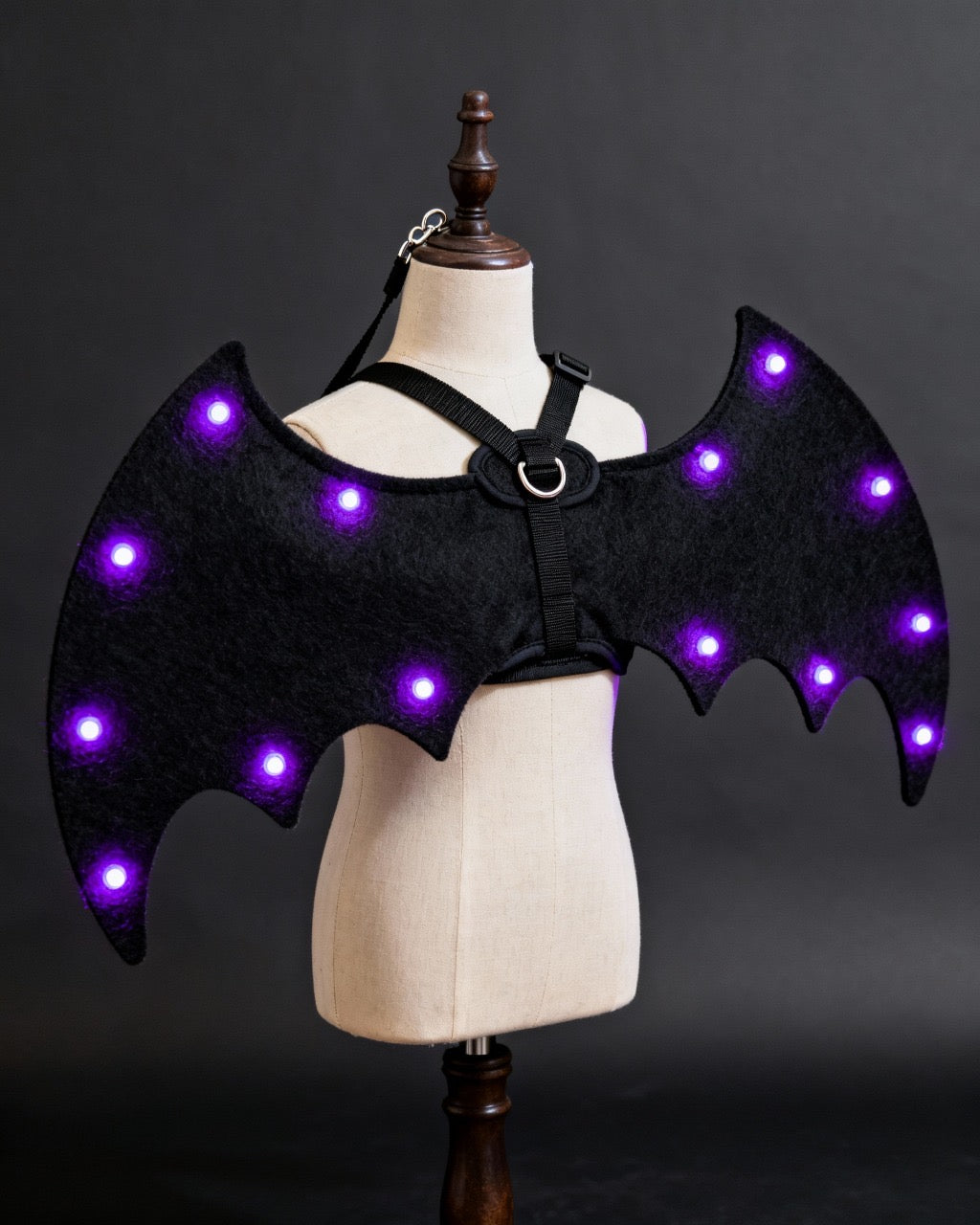Halloween Dog Costume with Light-Up Bat Wings – Yoochee LED Pet Outfit for Dogs & Cats (Small)